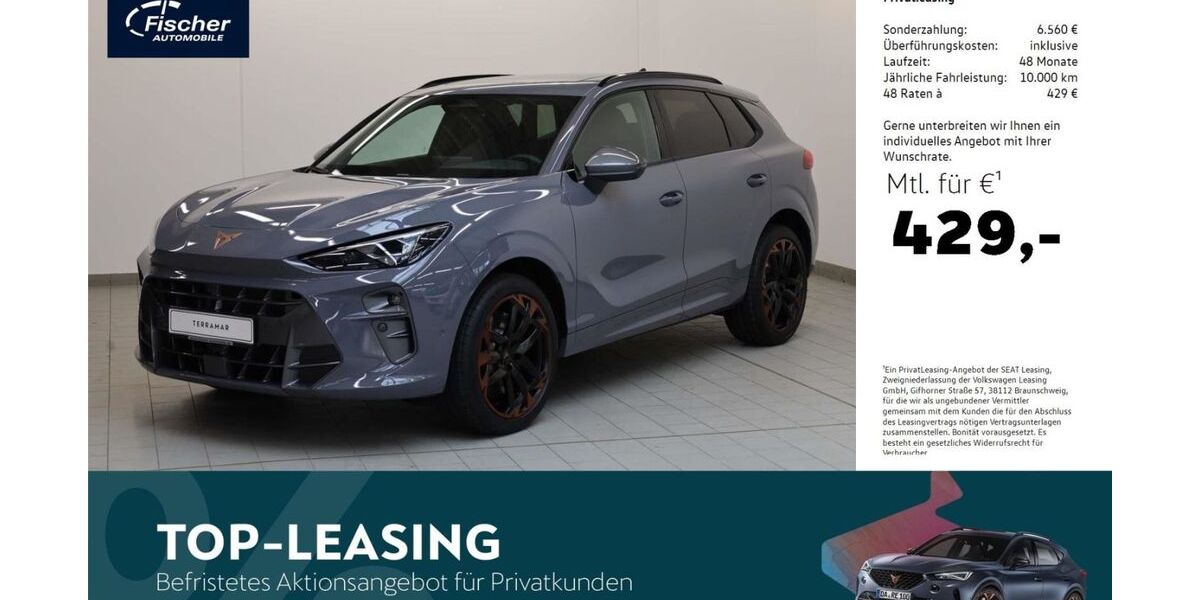 Cupra Terramar 5.000 km 48.980 € Amberg 92224