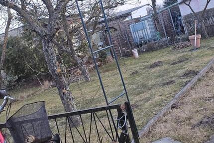 Wohnung Anklam - 1 Zimmer, 500 m&sup2;, 500&euro; | Angebot:25398925