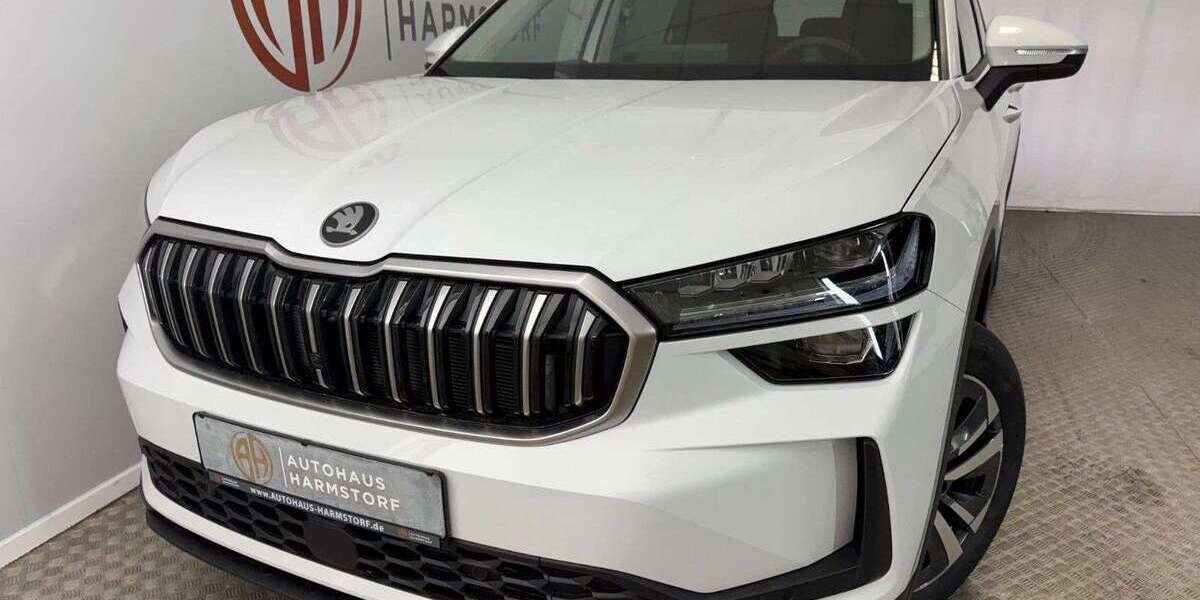 Skoda Kodiaq 1.050 km 39.790 &euro; Harmstorf 21228