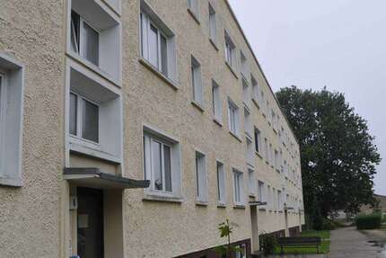 Wohnung Petkus Petkus - 3 Zimmer, 63 m&sup2;, 380&euro; | Angebot:25368605