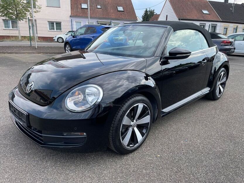 Beetle