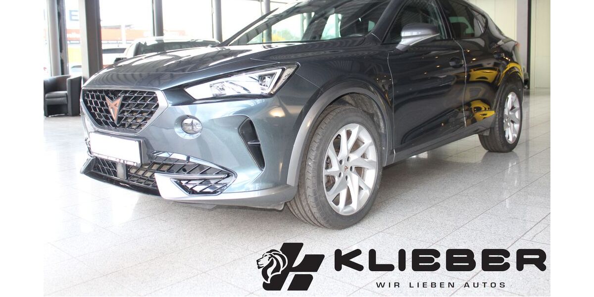 Cupra Formentor 49.865 km 21.970 &euro; Braunschweig 38112