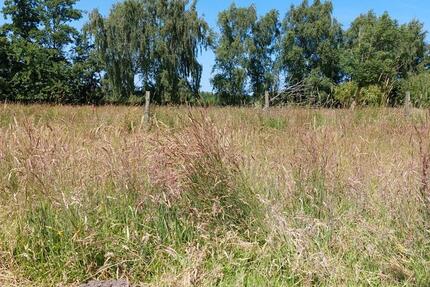 Haus Brunsbüttel - 4.5 Zimmer, 100 m&sup2;, 168.000&euro; | Angebot:26038872