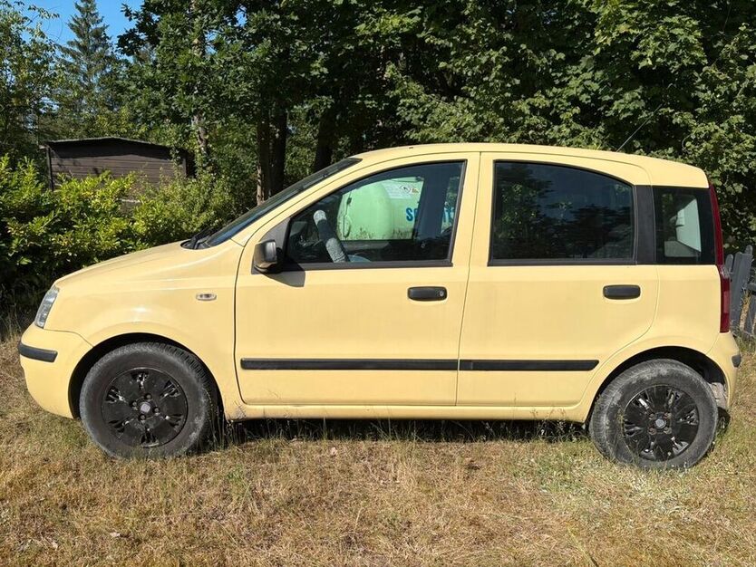 Panda