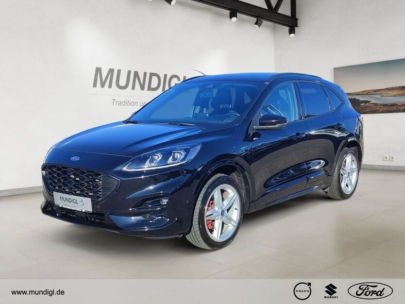 Kuga