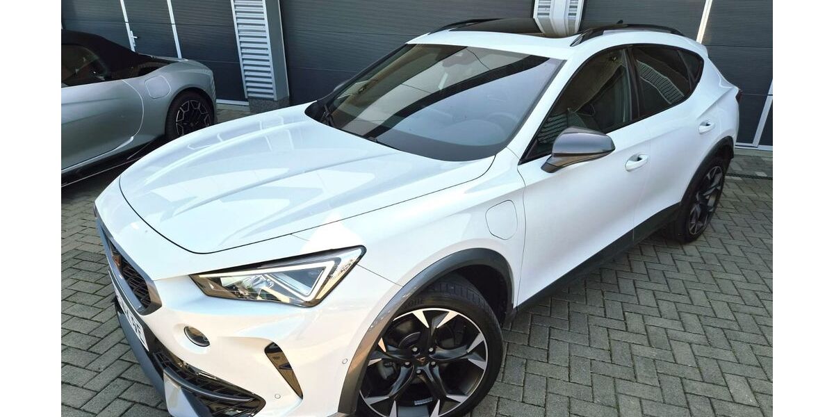 Cupra Formentor 40.000 km 21.800 &euro; Vellmar 34246
