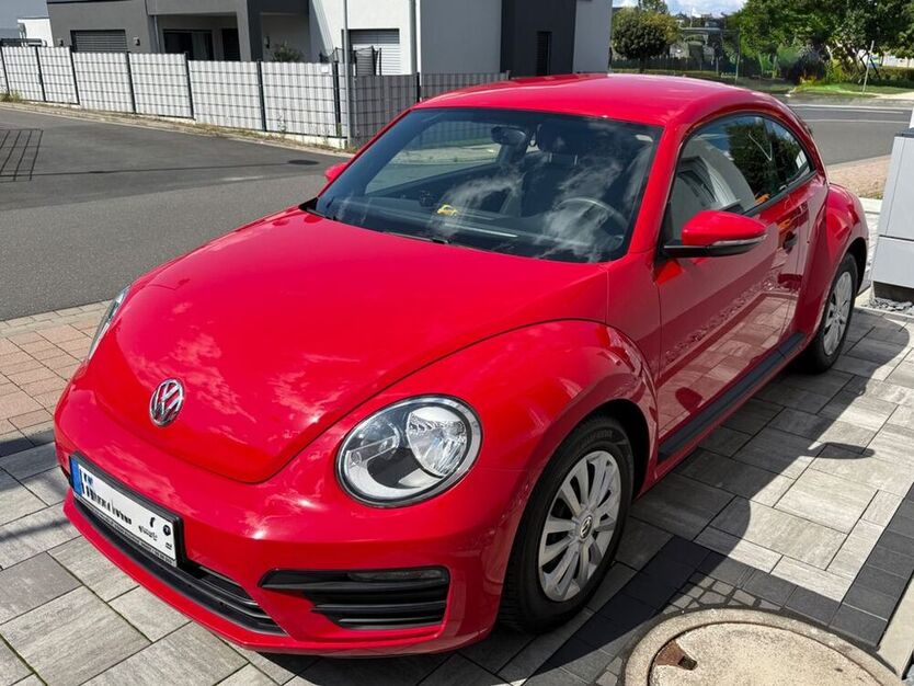 Beetle