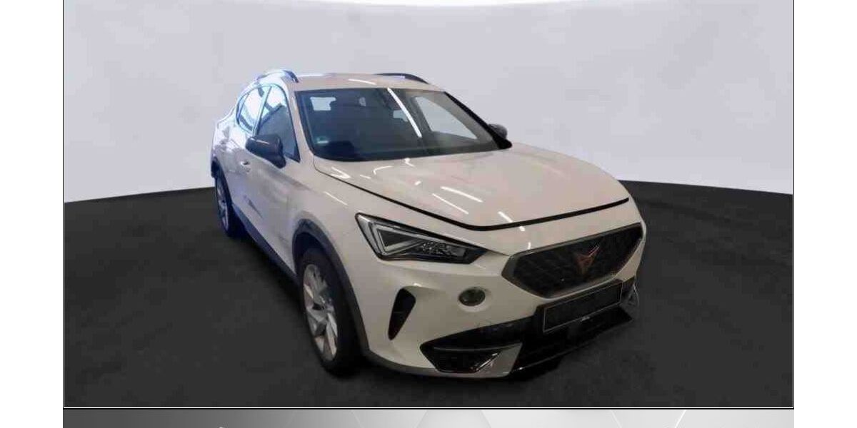 Cupra Formentor 55.000 km 22.570 &euro; Helmstedt 38350