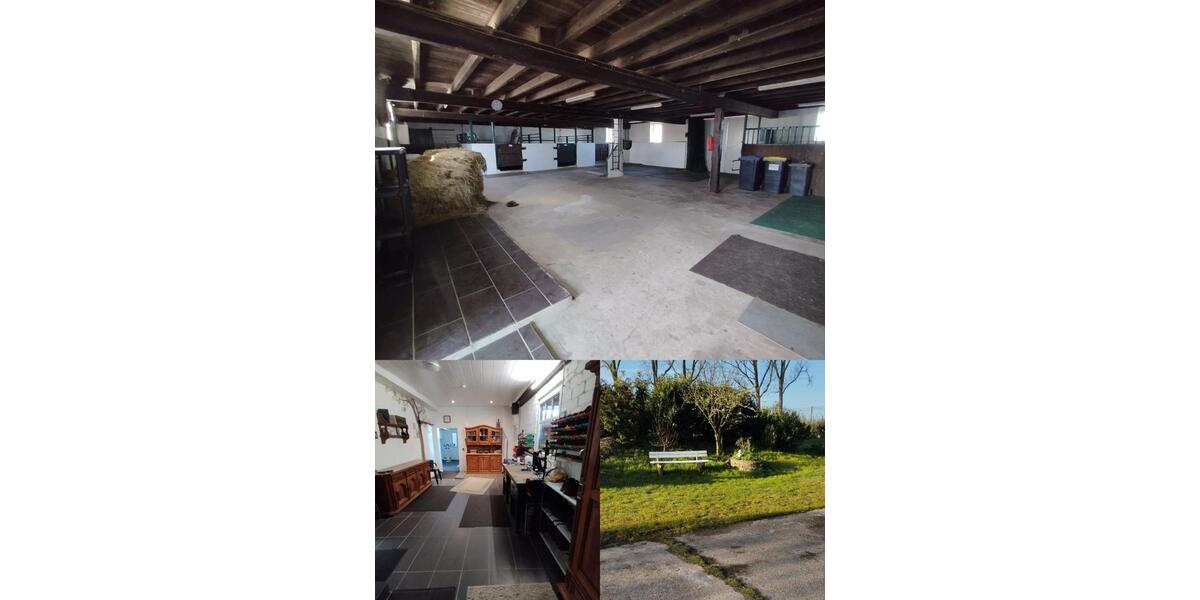 Bauernhaus, Landhaus Goch - 8.5 Zimmer, 250 m&sup2;, 800.000&euro; | Angebot:26940571