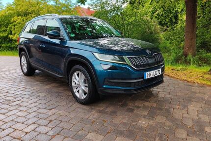 Skoda Kodiaq 261.000 km 12.998 &euro; Schneverdingen 29640