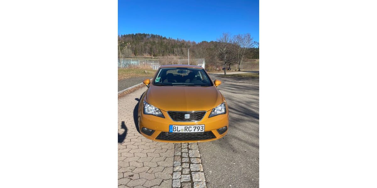 Seat Ibiza 160.256 km 3.990 &euro; Burladingen 72393