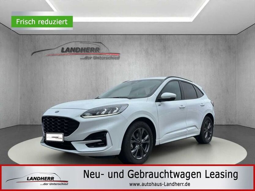 Kuga