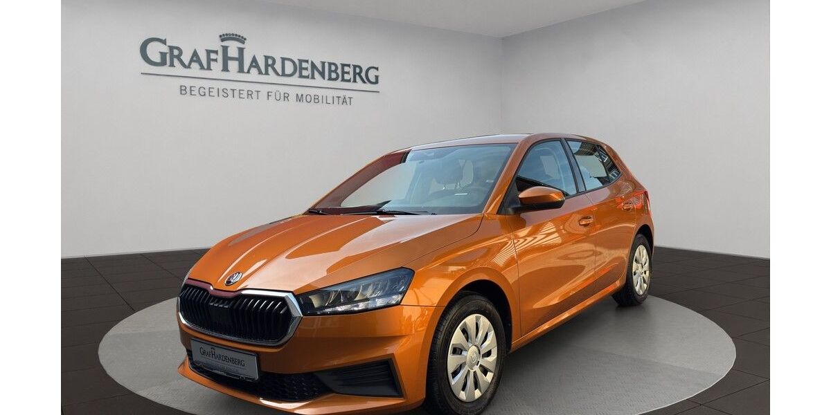 Skoda Fabia 36.900 km 15.555 &euro; Gengenbach 77723