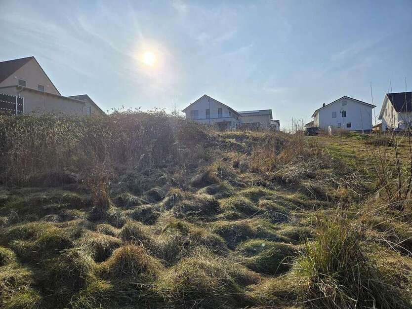 Grundstück zu verkaufen in Langenlonsheim 305.000 € 832 m²