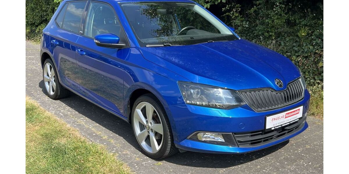 Skoda Fabia 80.400 km 9.550 &euro; Hemmoor 21745