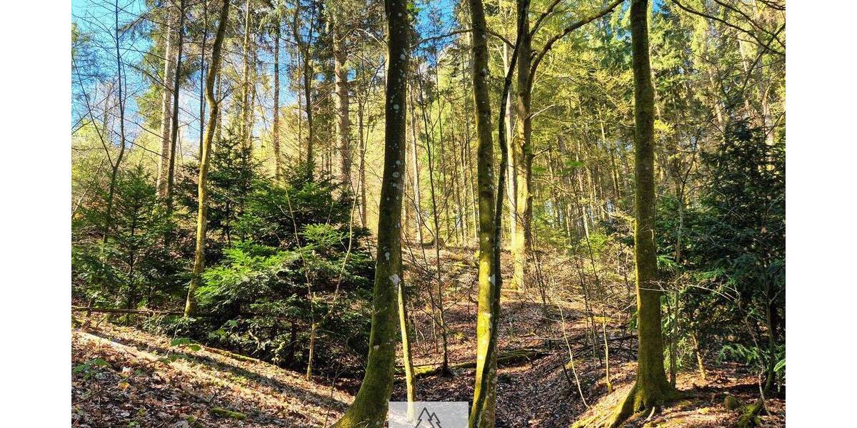 Grundstück Mainhardt Ammertsweiler - 34.900&euro; | Angebot:26798338