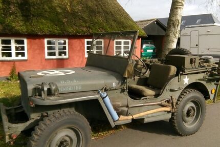 Jeep Willys 25.499 km 29.900 &euro; Hoisdorf 22955