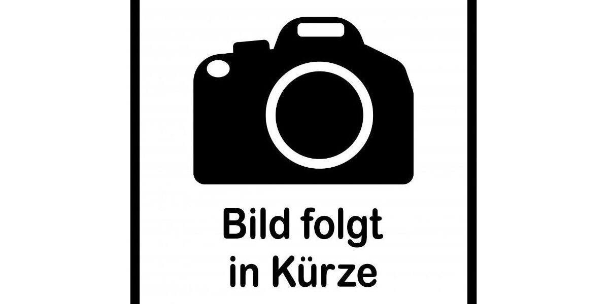 Ford Tourneo Courier 47.900 km 13.900 &euro; Speyer 67346