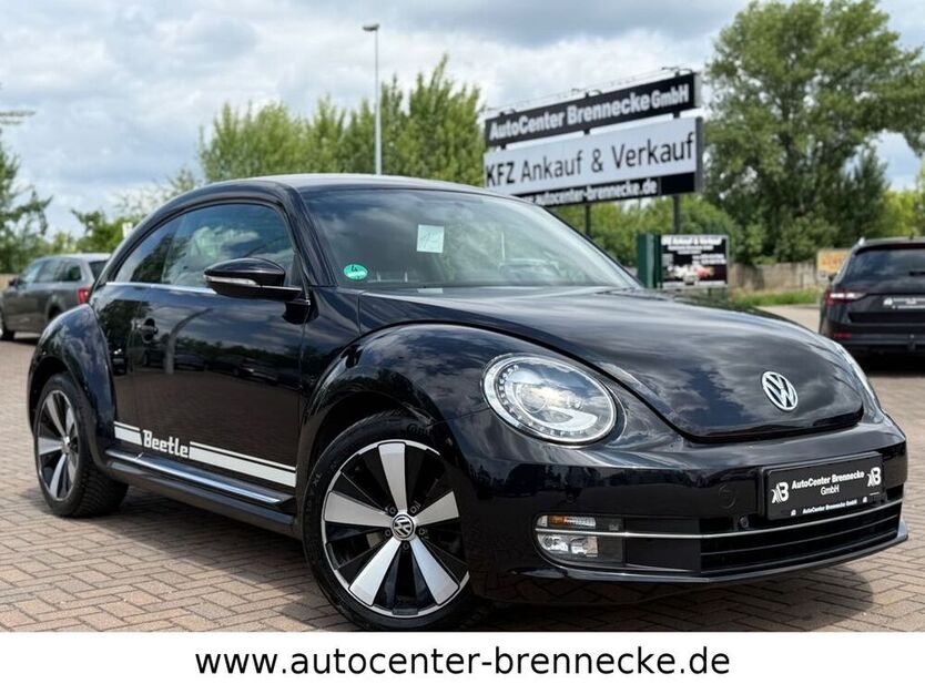 Beetle