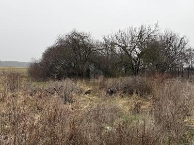 BAUEN IN RUHIGER LAGE - Grundstück Meuro Meuro | Angebot:26230366