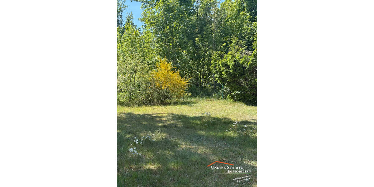 Maisonette-Wohnung in schöner Lage, bezugsfrei 2 zimmer