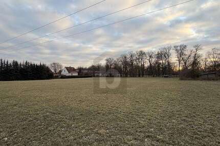 Grundstück Gieshof-Zelliner Loose Zelliner Loose - 60.000&euro; | Angebot:25549468