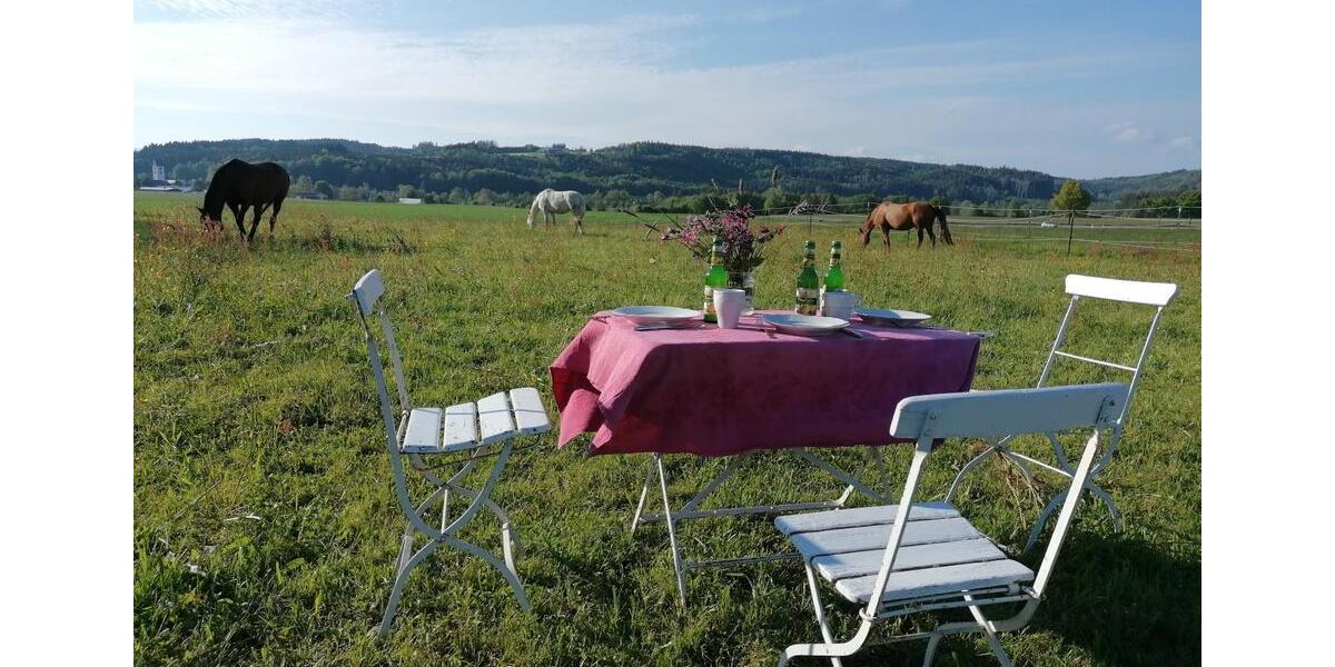 Bauernhaus, Landhaus Leutkirch im Allgäu - 7 Zimmer, 250 m&sup2;, 1.100.000&euro; | Angebot:26958637
