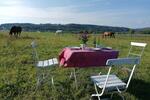 Bauernhaus, Landhaus Leutkirch im Allgäu - 7 Zimmer, 250 m&sup2;, 1.100.000&euro; | Angebot:26958637