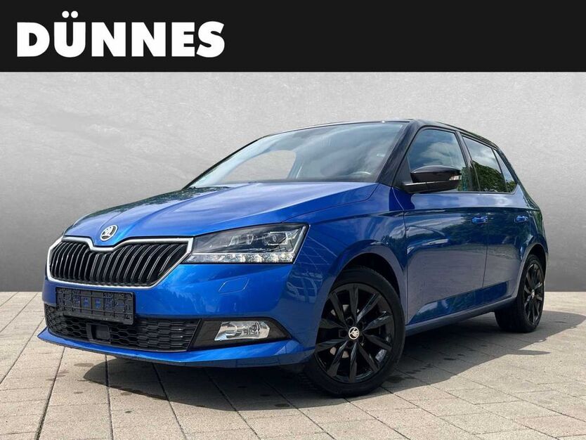 Skoda Fabia 83.000 km 11.990 € Regensburg 93059