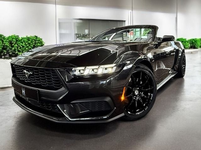 Mustang