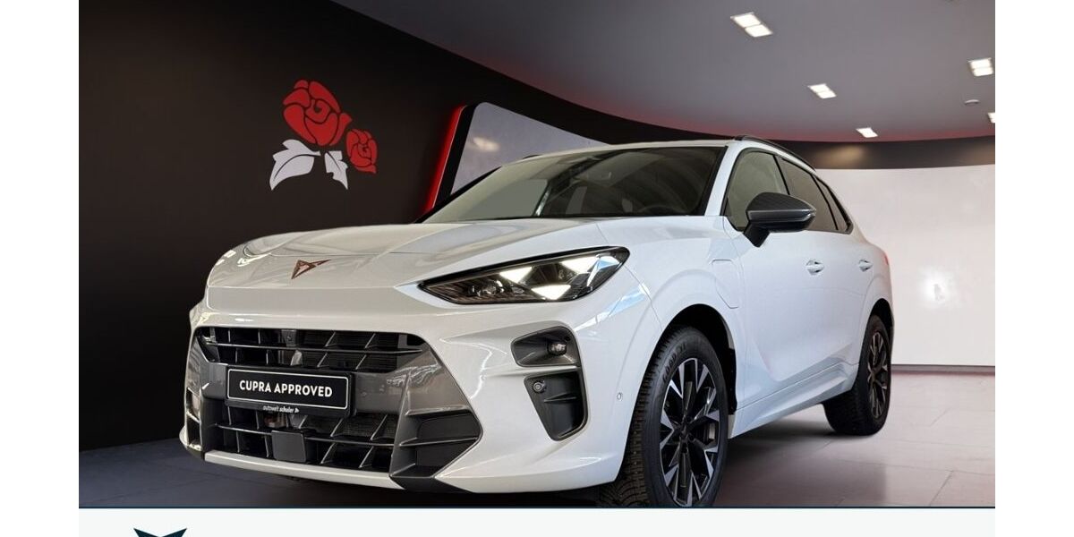 Cupra Terramar 26.100 km 37.880 &euro; Zimmern ob Rottweil 78658