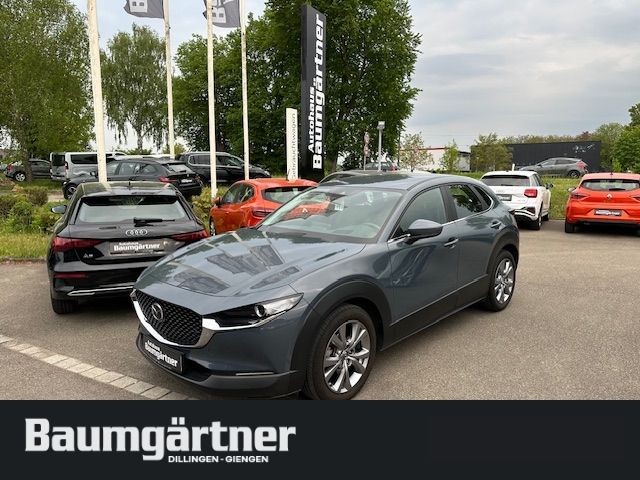 CX-30