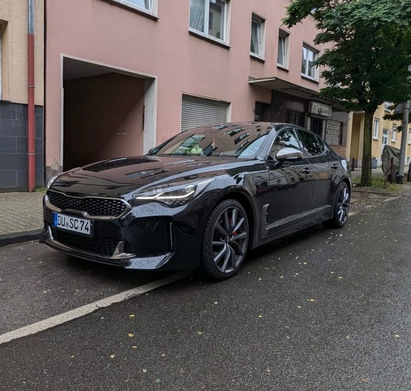 Stinger
