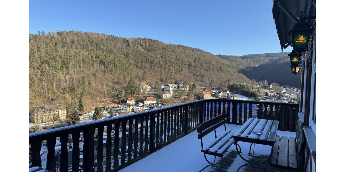 Historisches Hotel Schwarzaburg - Gewerbeobjekt Schwarzburg | Angebot:25414977