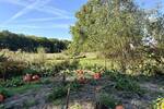 Grundstück Osnabrück Eversburg - 499.000&euro; | Angebot:25673332