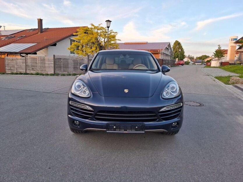 Cayenne