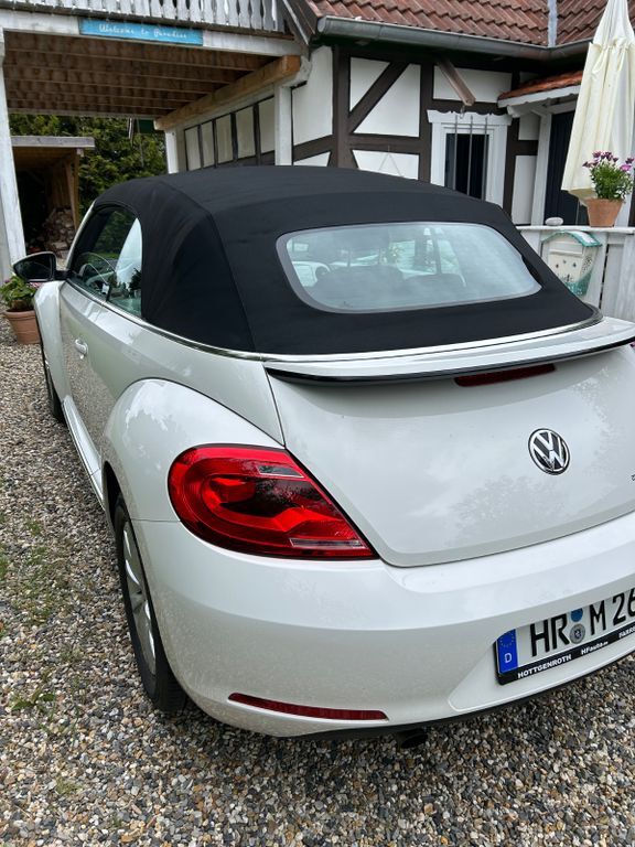 Beetle