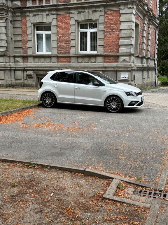 Polo