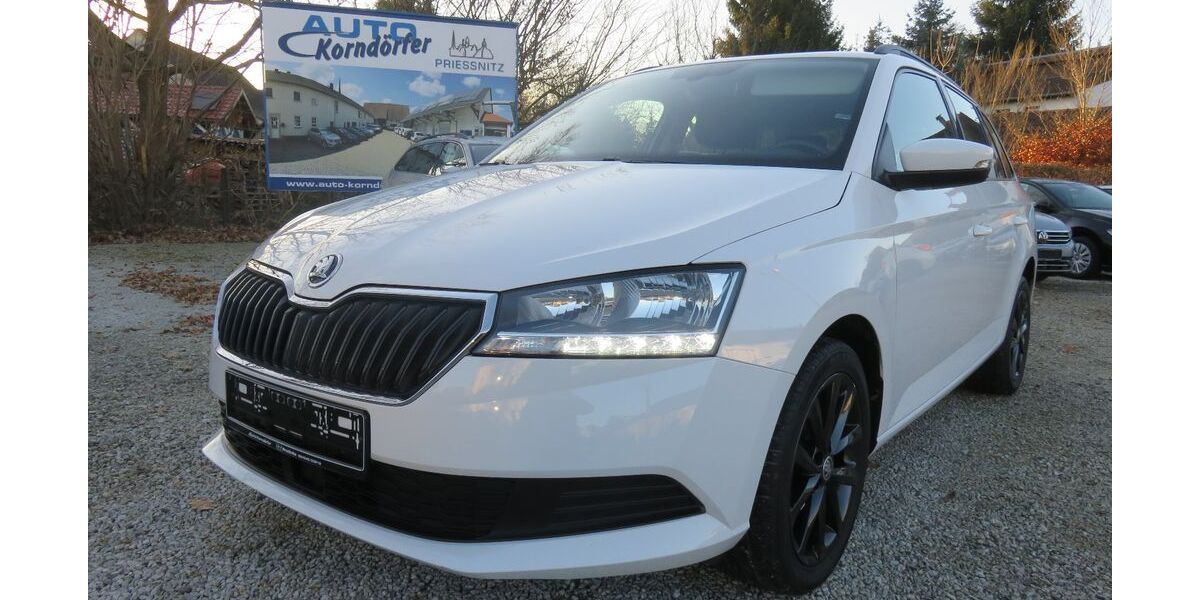 Skoda Fabia 60.100 km 12.850 &euro; Prießnitz 04654