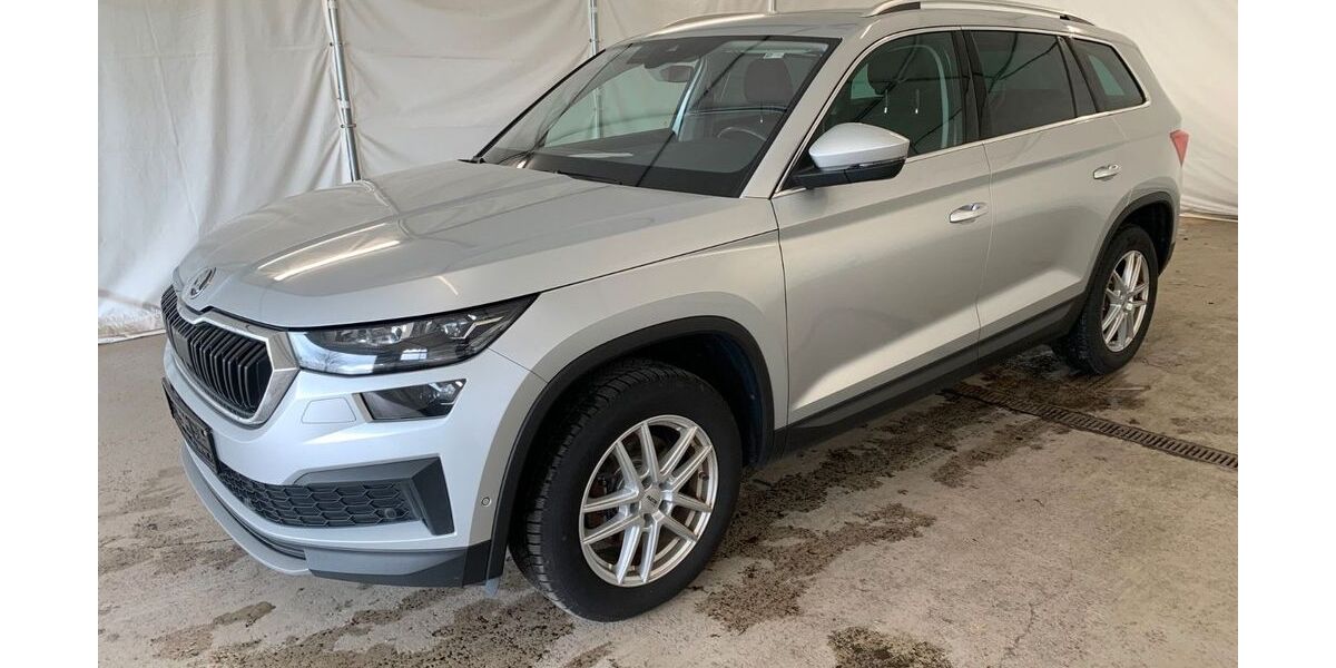 Skoda Kodiaq 139.220 km 20.990 &euro; Steinbach-Hallenberg OT Herges-Hallenberg 98587