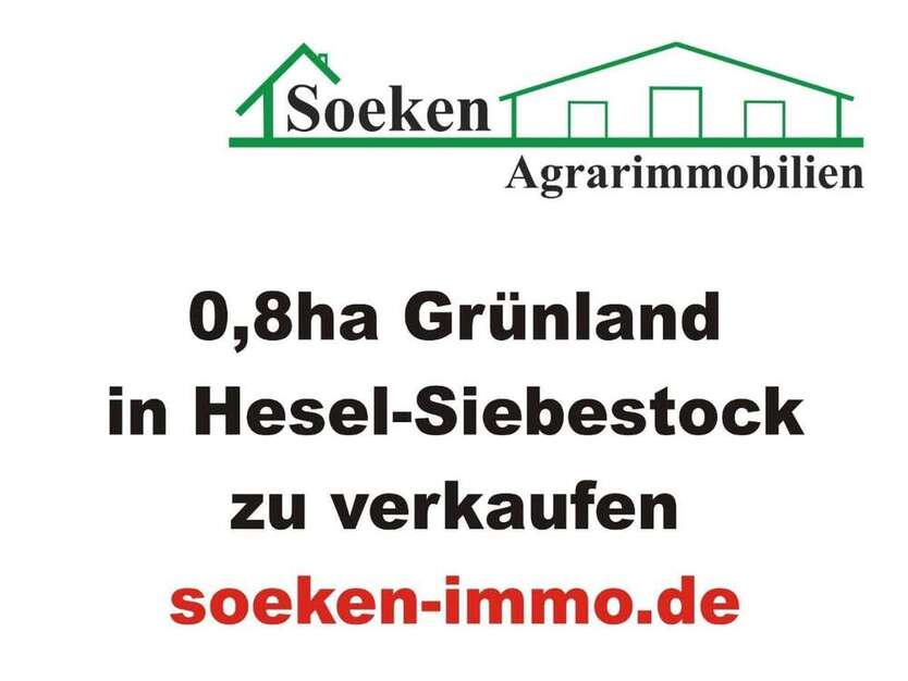 Grundstück in Hesel 17.000 € 7958 m²