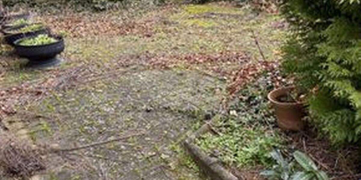 Sarstedt-Hotteln, Haus für große Familie; leerstehend,FESTPREIS !!! nur 169.000,- € 7 zimmer