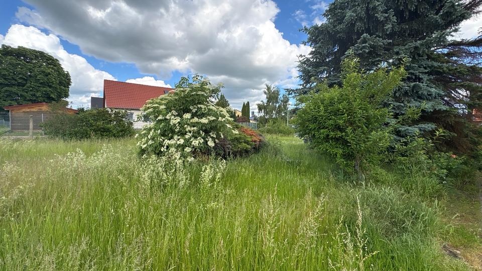 Einfamilienhaus Falkenstein/Harz Harz - 4 Zimmer, 107 m&sup2;, 169.000&euro; | Angebot:27178947