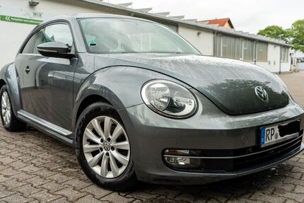 VW Beetle 170.826 km 8.100 &euro; Speyer 67346
