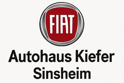 Fiat 500X 28.000 km 17.390 &euro; Sinsheim 74889