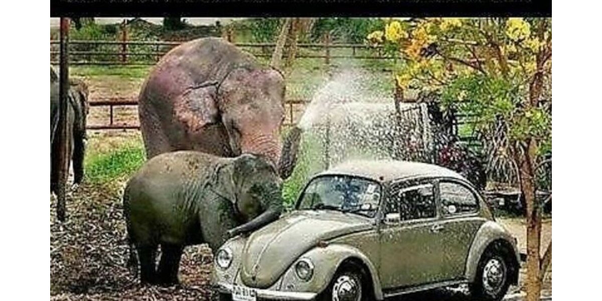 Smart ForTwo 1.0 *passion* Aut Klima Pano Navi Alu 100.000 km 5.600 &euro; Seevetal - Hittfeld 21218