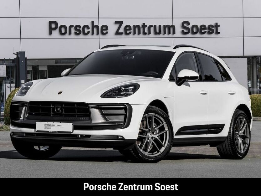 Macan