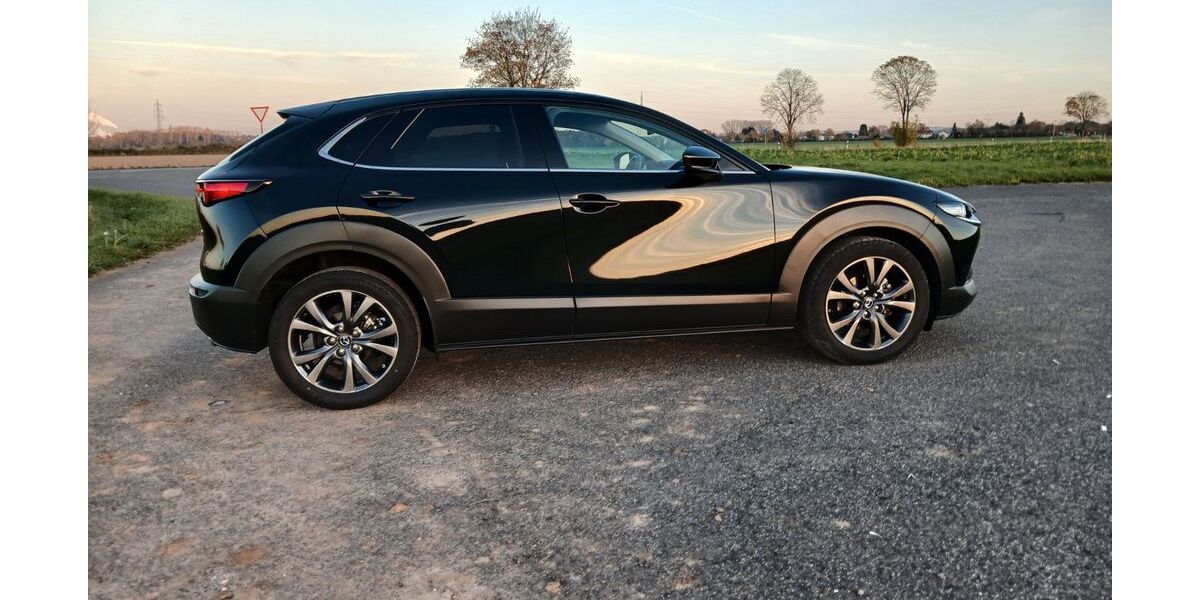 Mazda CX-30 115.463 km 17.099 &euro; Euskirchen 53879