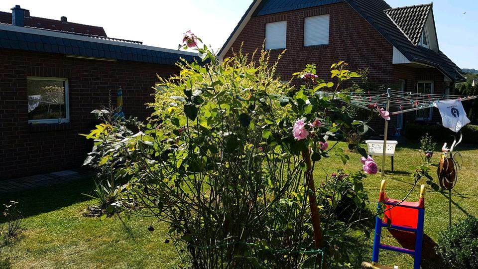 Einfamilienhaus Kalletal - 5 Zimmer, 123 m&sup2;, 398.000&euro; | Angebot:26716753