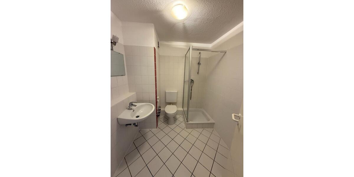 renovierte 2 Zi Whg mit neuer EBK und großer Dachterrasse in Heid 2 zimmer